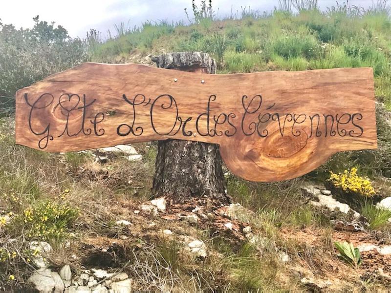 Gite L'Or Des Cevennes Saint-Andre-Capceze Dış mekan fotoğraf
