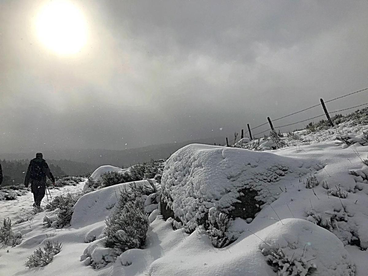 Gite L'Or Des Cevennes Saint-Andre-Capceze Dış mekan fotoğraf