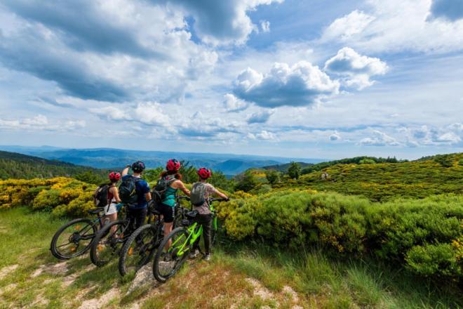 Gite L'Or Des Cevennes Saint-Andre-Capceze Dış mekan fotoğraf