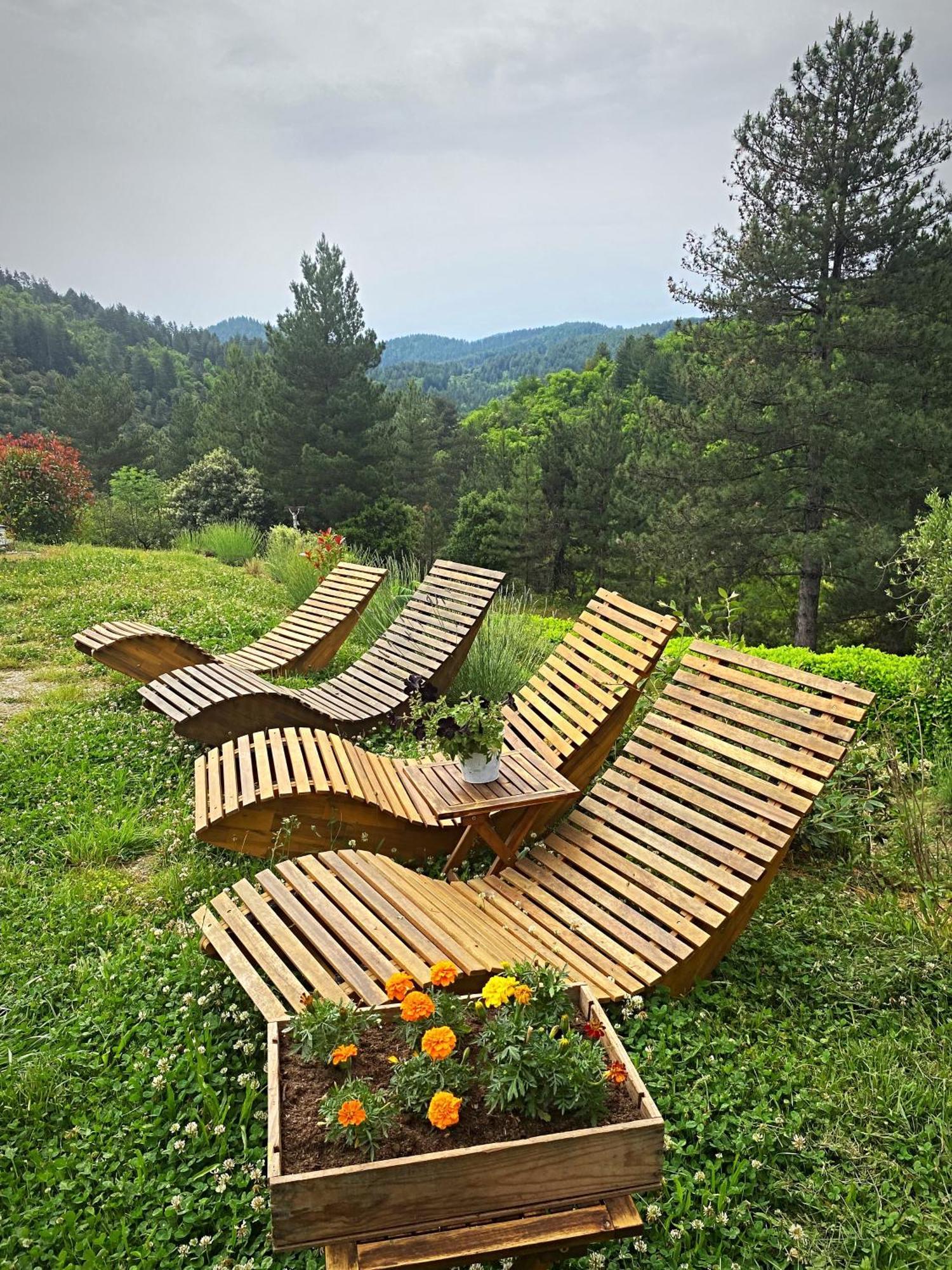 Gite L'Or Des Cevennes Saint-Andre-Capceze Dış mekan fotoğraf