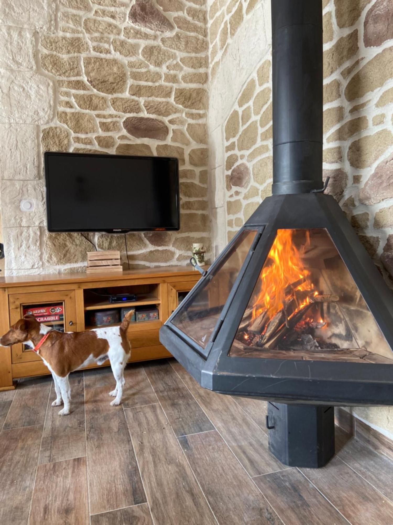 Gite L'Or Des Cevennes Saint-Andre-Capceze Dış mekan fotoğraf