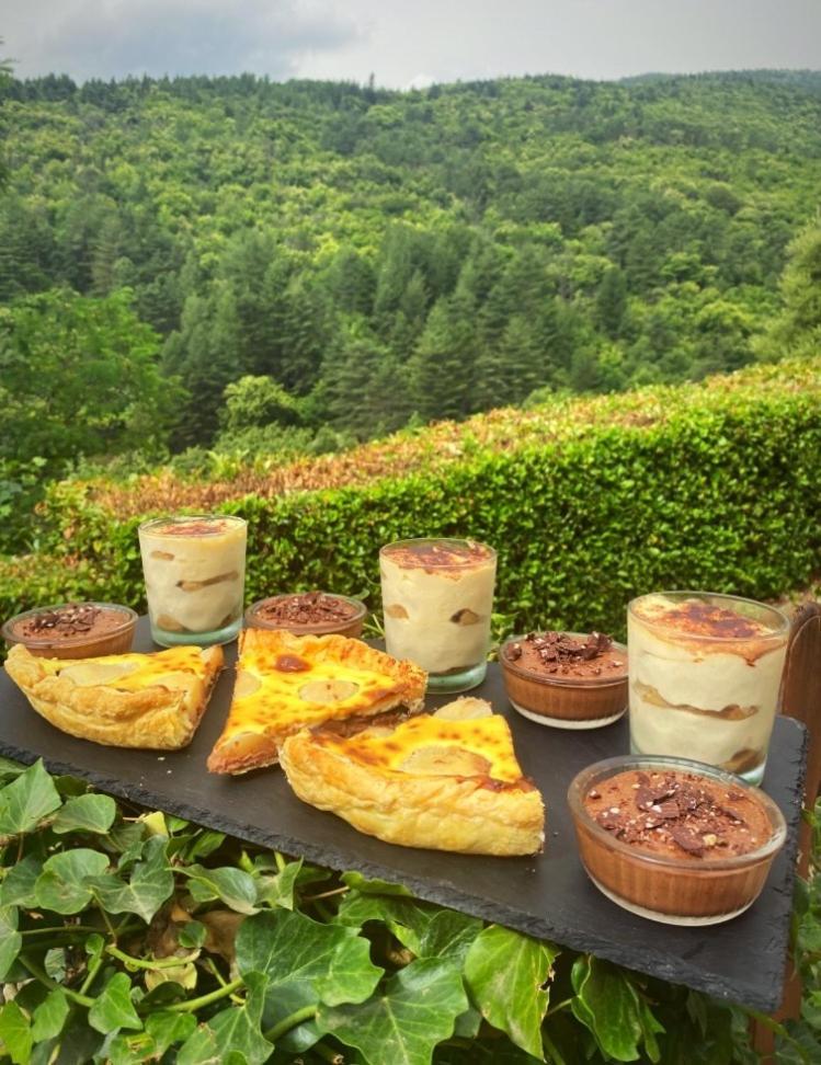 Gite L'Or Des Cevennes Saint-Andre-Capceze Dış mekan fotoğraf