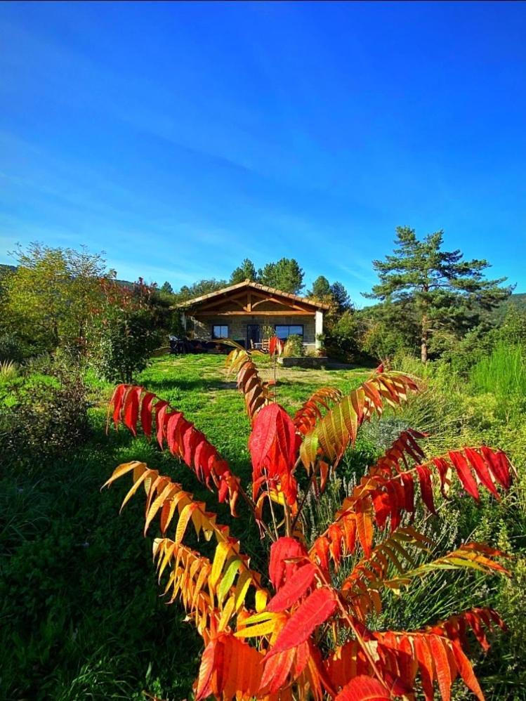 Gite L'Or Des Cevennes Saint-Andre-Capceze Dış mekan fotoğraf